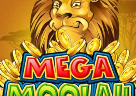 Mega Moolah Slot Review